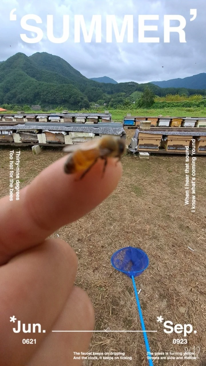지 리 산 벌 꿀 상세이미지