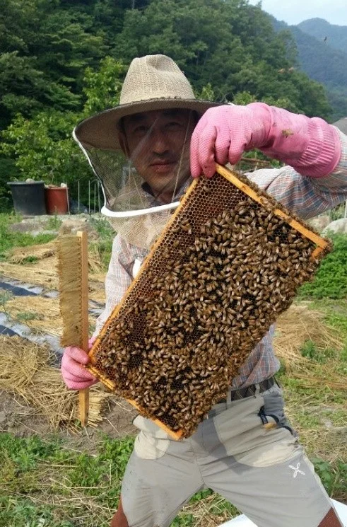 지 리 산 벌 꿀 상세이미지