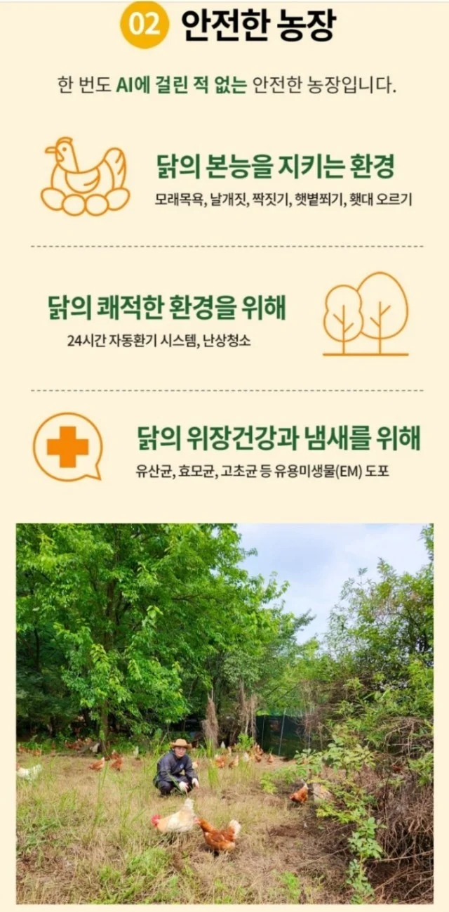 🥚목초 유정란/난각번호1번 상세이미지