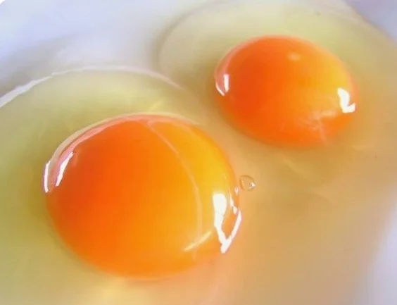 🥚목초 유정란/난각번호1번